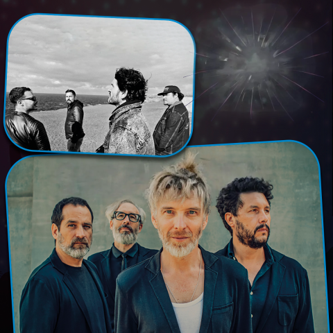 elefantes_valle_narval