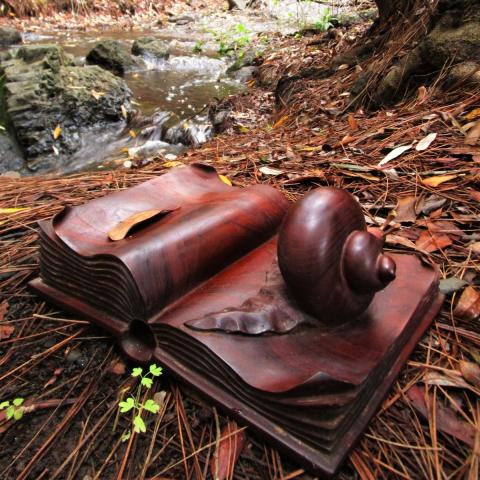 exposiciontemoral_james_klines