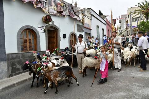 romeria_san_juan_bautista_arucas