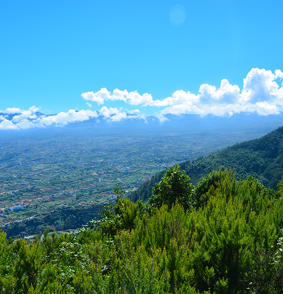 Imagen Listado - Junio en las IC - La Orotava