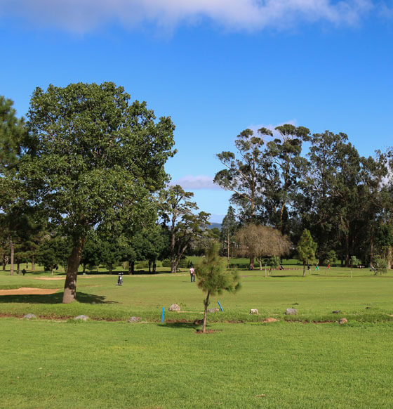 Real Club Golf de Tenerife - El Peñón - listado