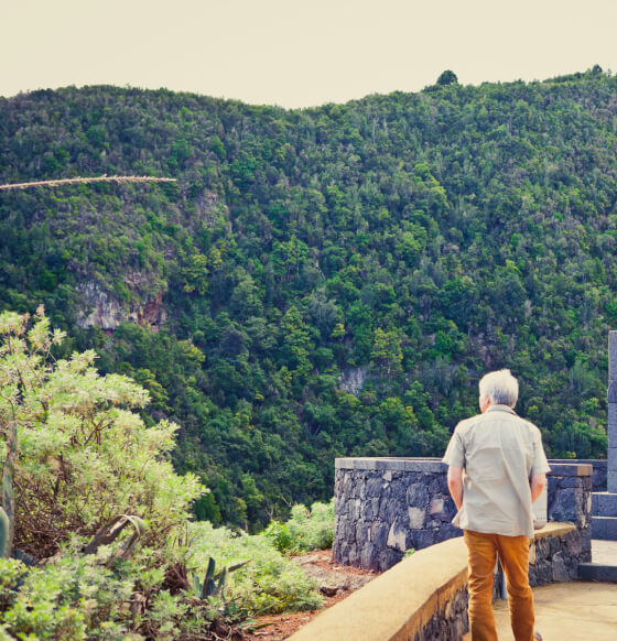 Mirador Jardín de las Hespérides