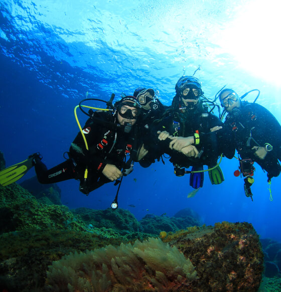 Centro de buceo Arrecifal