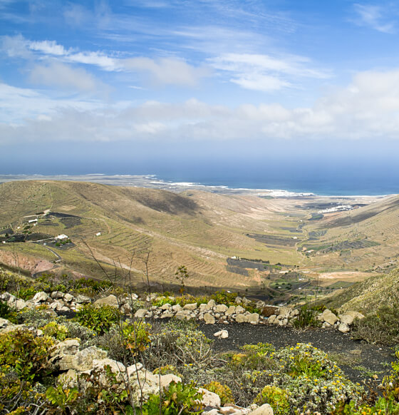 Mirador de Los Helechos