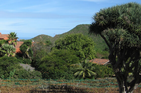 Casa Rural San Miguel