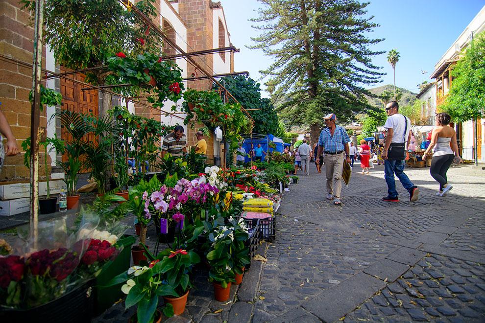 Mercadillo Teror -  Gran Canaria