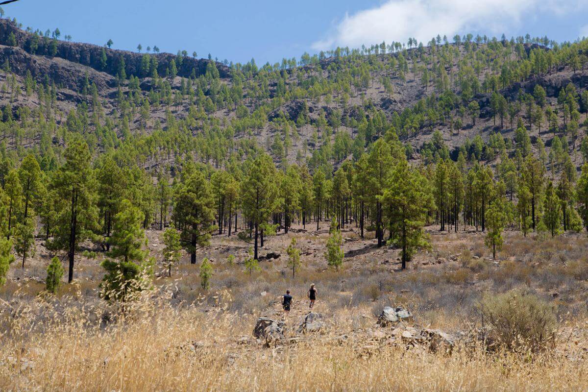 Senderismo en Ruta de las Presas Senderismo en Gran Canaria