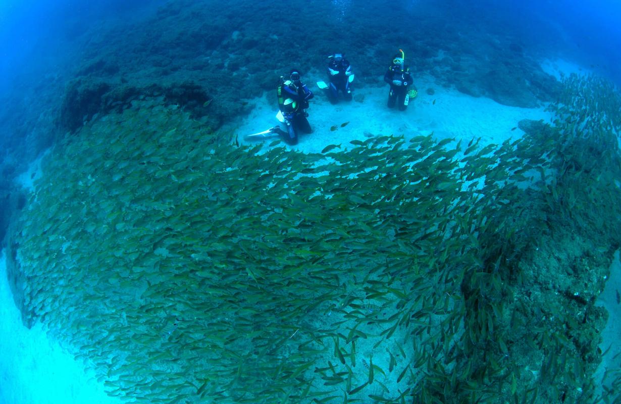 Bucear en El Cabrón, en Gran Canaria