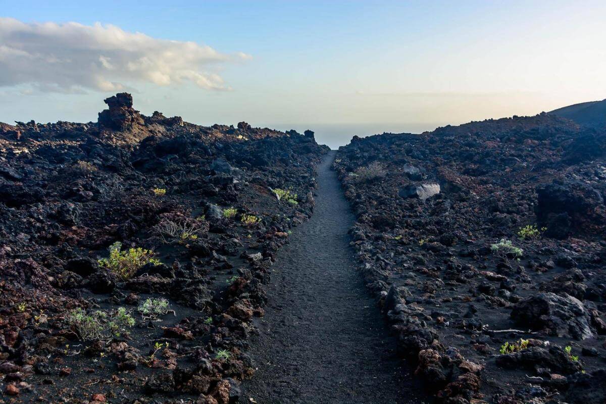 Tour por la espectacular naturaleza de La Palma - galeria2