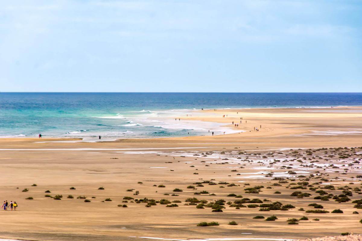 Playa de Sotavento. Fuerteventura