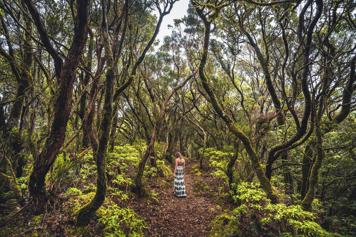 Parque Rural de Anaga, en Tenerife