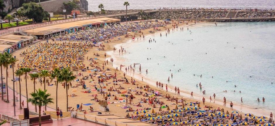 Плайя-де-Амадорес Популярные пляжи Гран-Канарии