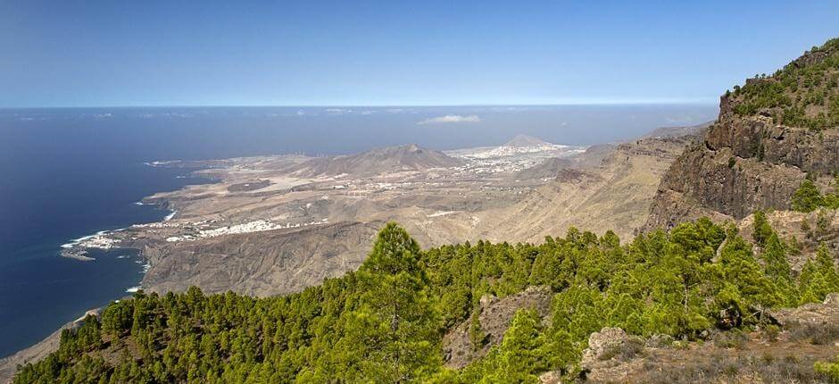 Tamadaba-Bajada de Faneque + Senderos de Gran Canaria