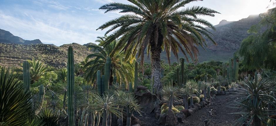 Cactualdea Park Museos y centros turísticos de Gran Canaria