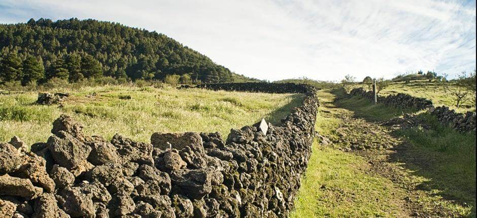 Camino de la Virgen + Senderos de El Hierro