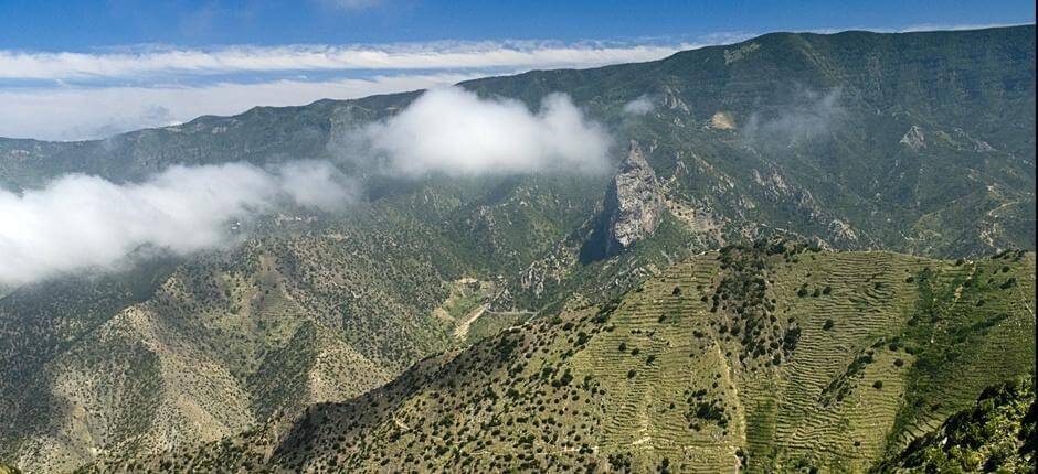 Circular de Vallehermoso + Senderos de La Gomera