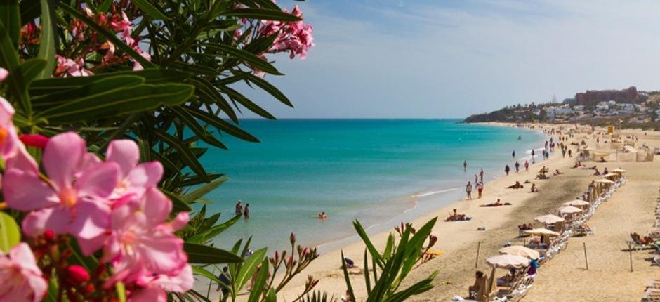 Пляж Коста-Кальма Популярные пляжи Фуэртевентуры