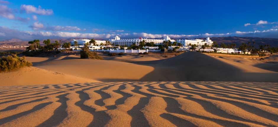 Reserva Natural Especial de las Dunas de Maspalomas, en Gran Canaria