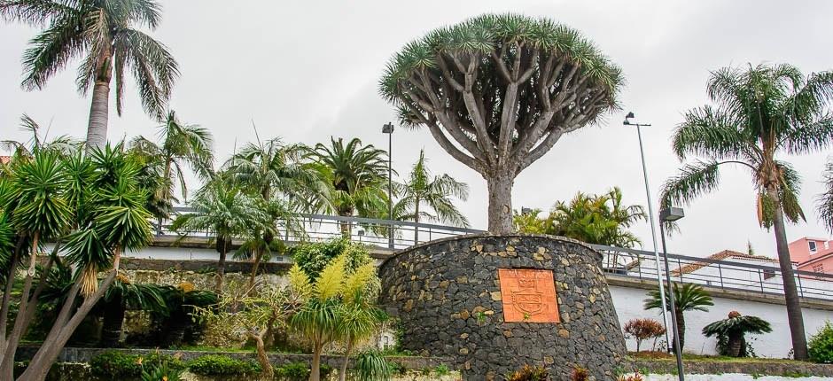 El Sauzal pueblos con encanto de Tenerife 