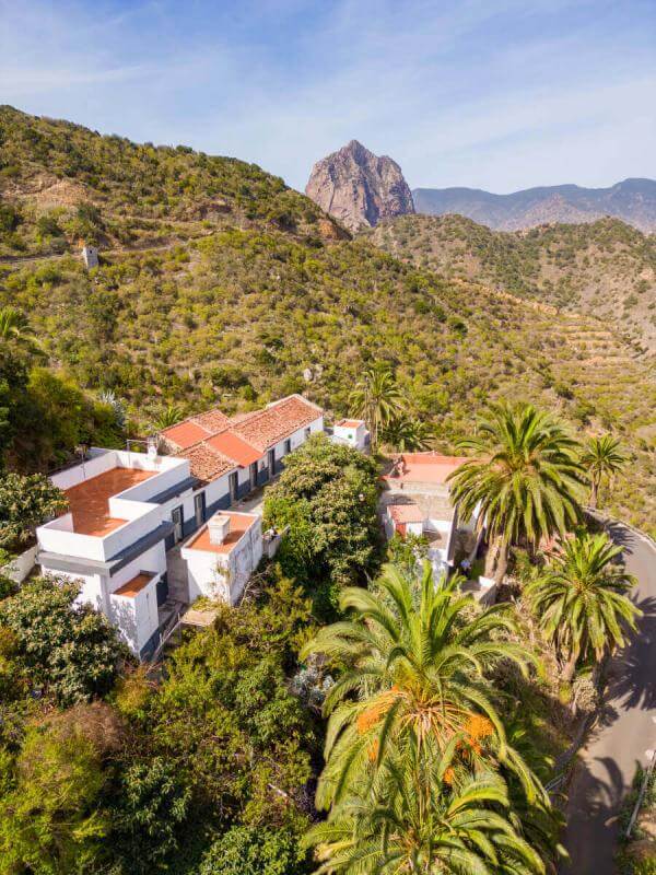 Tamargada - Mazapeces