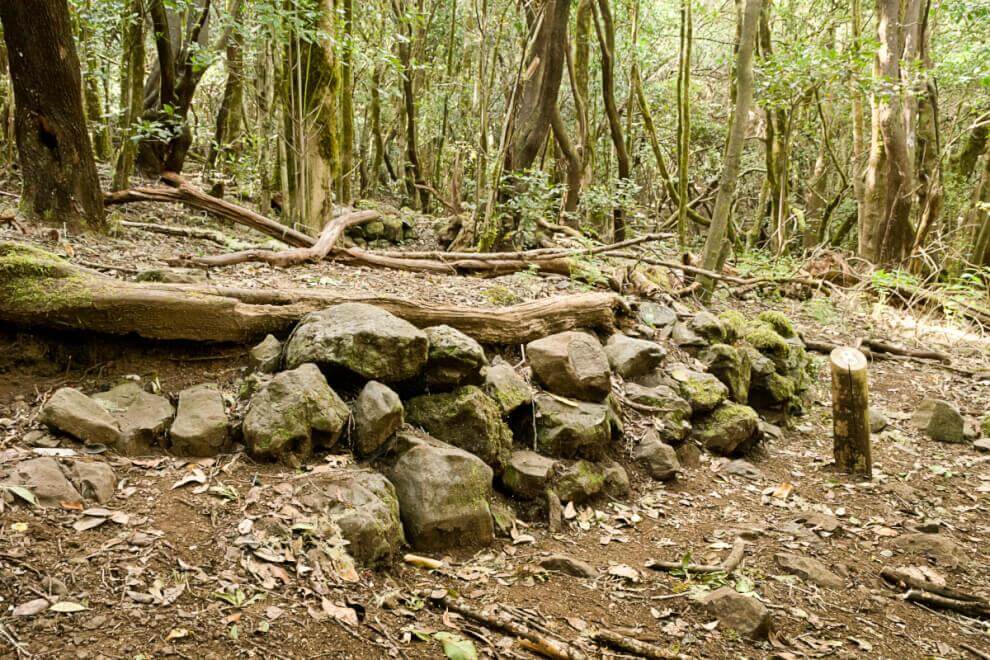 Sendero Contadero-El Cedro