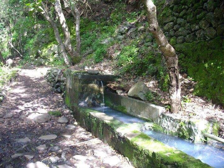 Las Fuentes de las Breñas (PR LP 19)