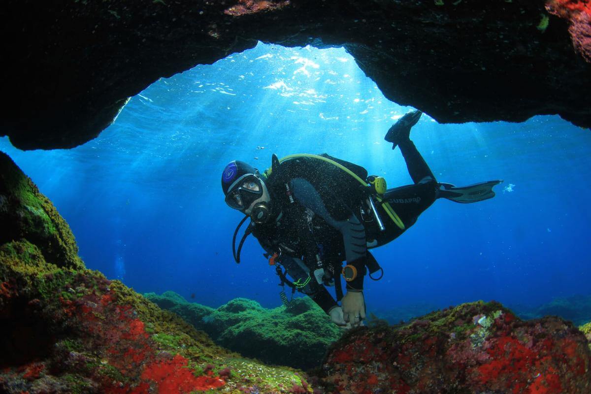 Centro de buceo Arrecifal