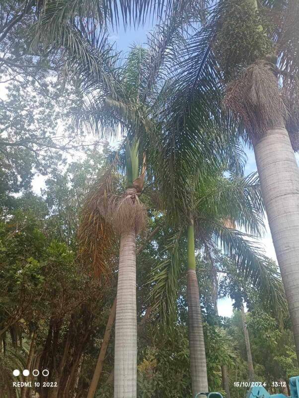 Jardín del Atlántico La Gomera