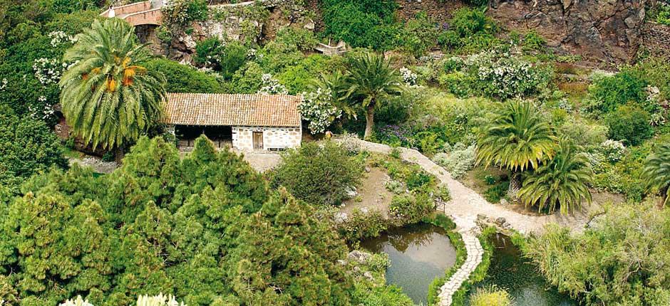 Ботанический сад Виера-и-Клавихо Музеи и туристические центры на Гран-Канарии