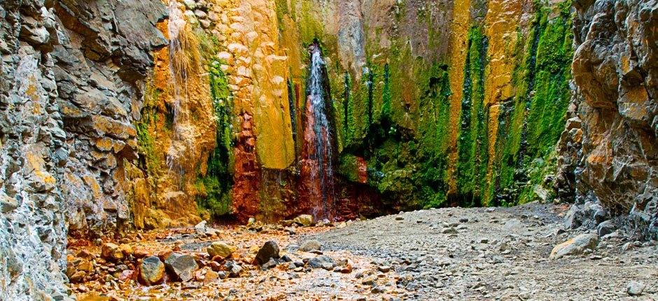 Caldera de Taburiente + Senderos de La Palma