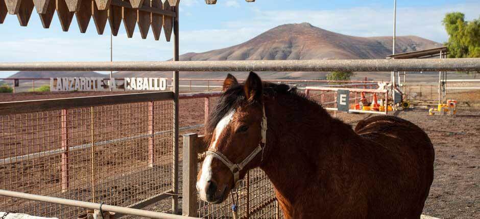 Lanzarote a Caballo Atracciones turísticas de Lanzarote