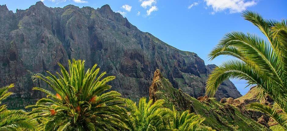 Masca + Observación de estrellas en Tenerife