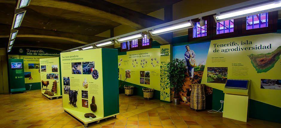 Casa del Vino y la Miel – Tenerife – Museos y centros turísticos