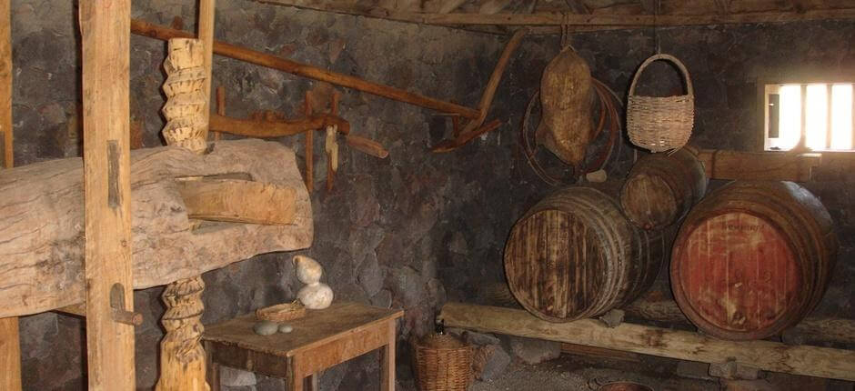 Museo del Vino de La Palma + Bodegas de La Palma