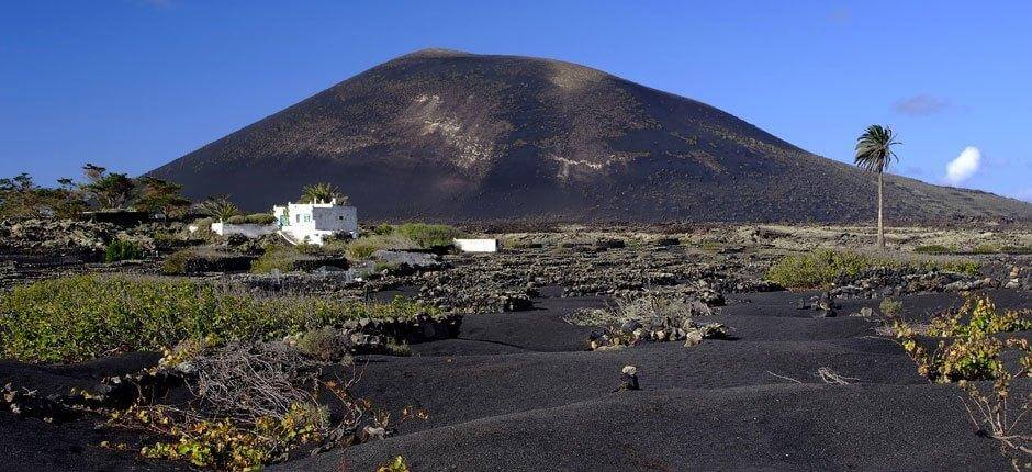 Paisaje Protegido de La Geria, en Lanzarote