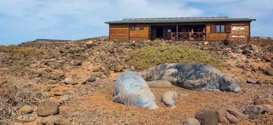 Islote de Lobos, en Fuerteventura