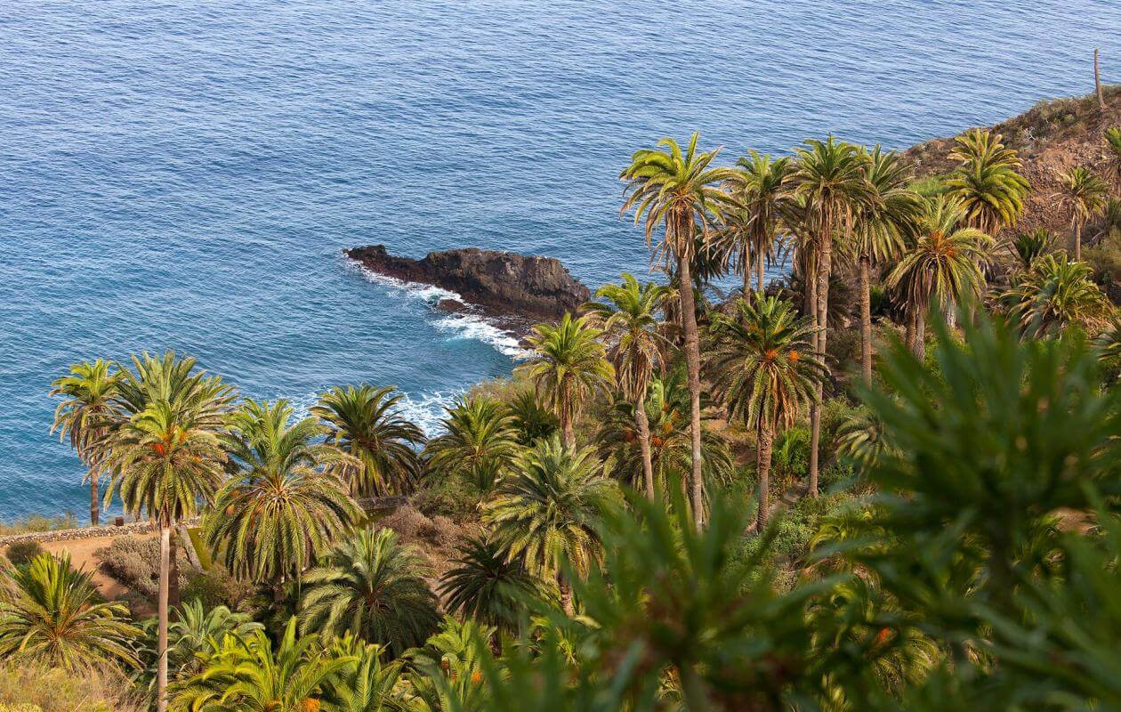 Rambla de Castro. Senderos de Tenerife