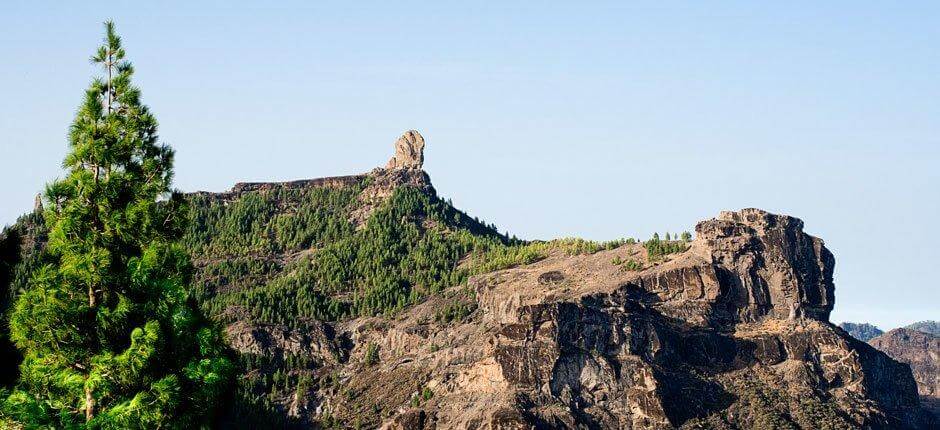 Roque Nublo + Senderos de Gran Canaria