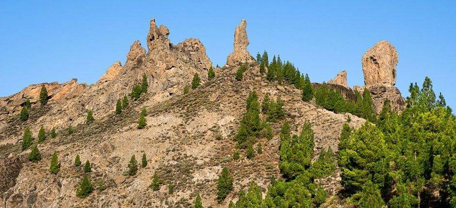 Roque Nublo + Senderos de Gran Canaria