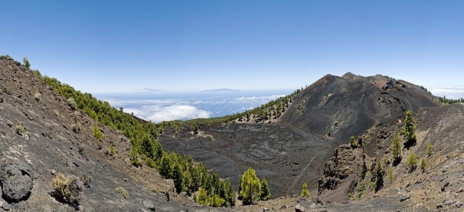 Ruta de los Volcanes + Senderos de La Palma