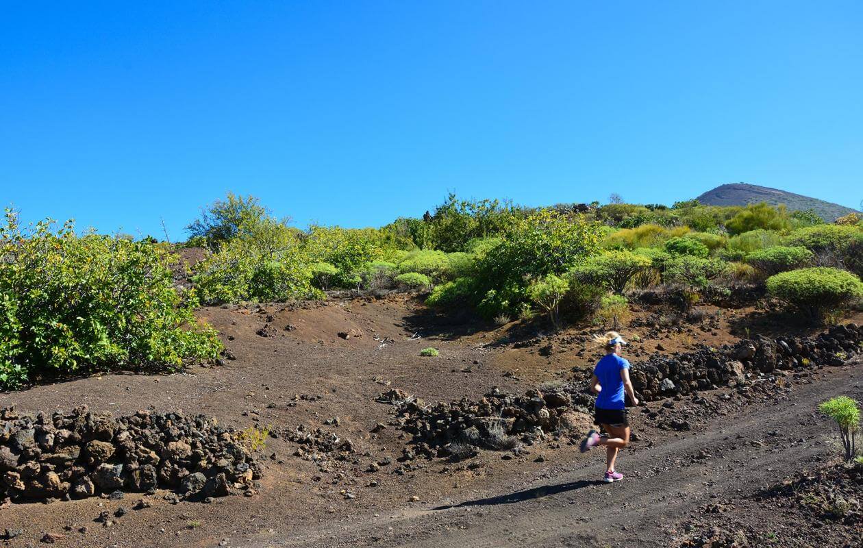 Santiago del Teide-Trail