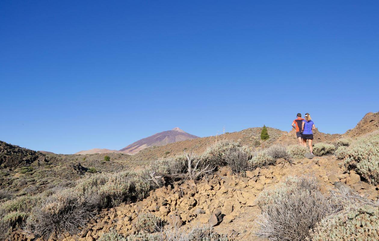 Teide - Puerto de la Cruz-Trail