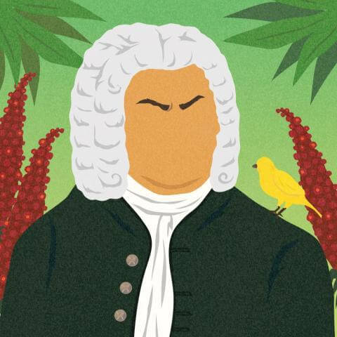 bach_intimo