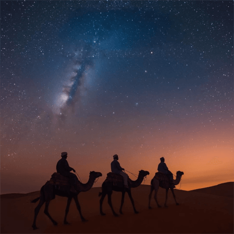 concierto_reyes_rtve