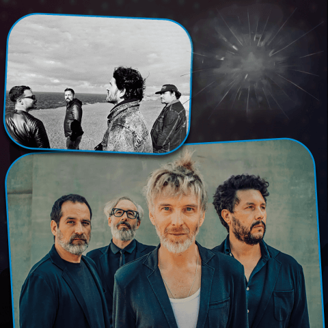 elefantes_valle_narval