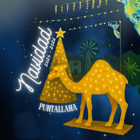 navidadpuntallana