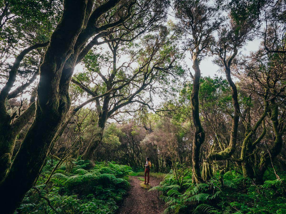 La Llanía, El Hierro.