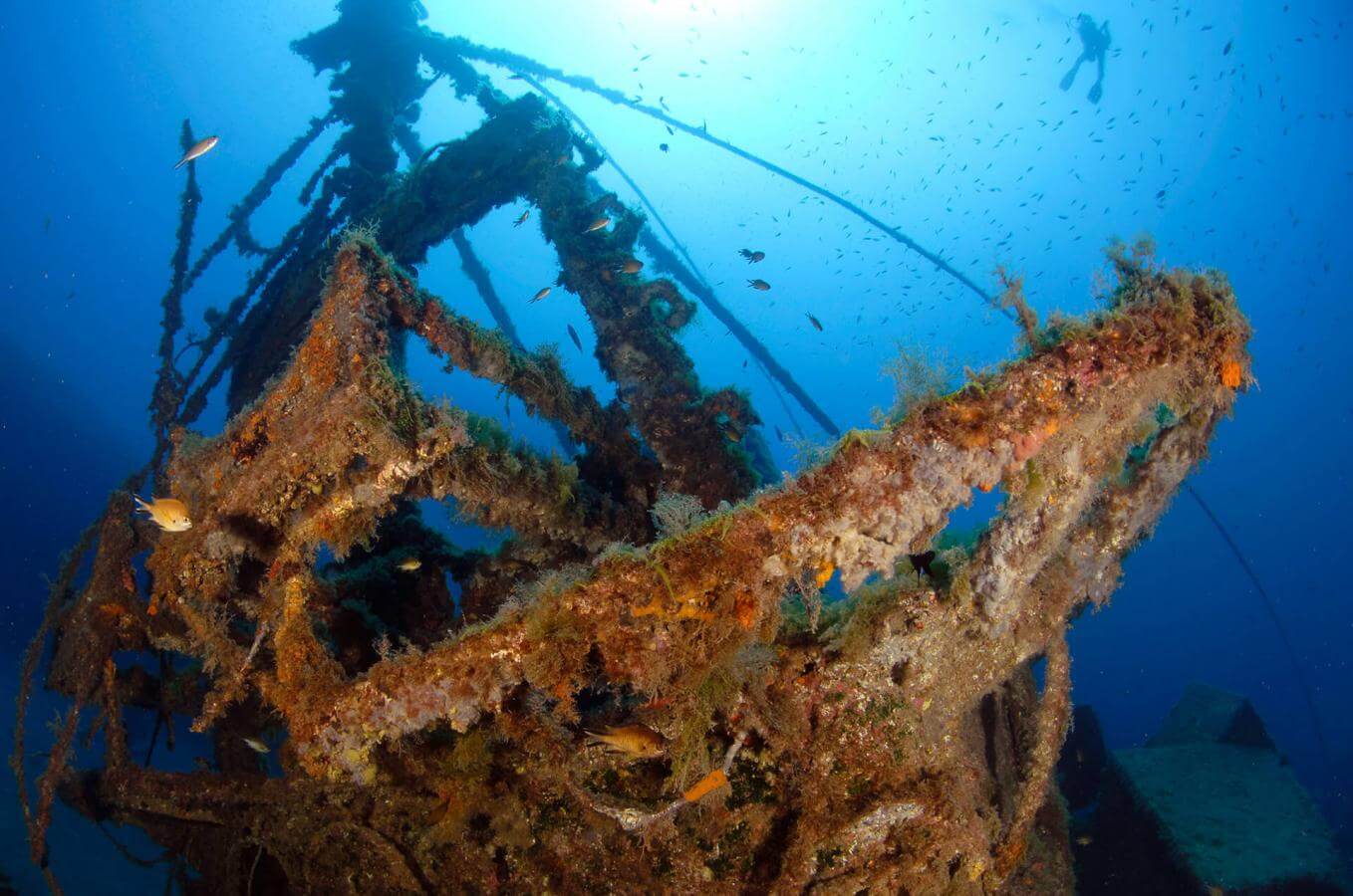 Pecios de Puerto del Carmen Submarinismo en Lanzarote