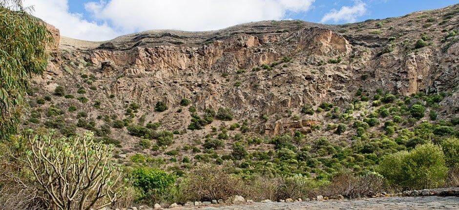 Caldera de Bandama + Senderos de Gran Canaria