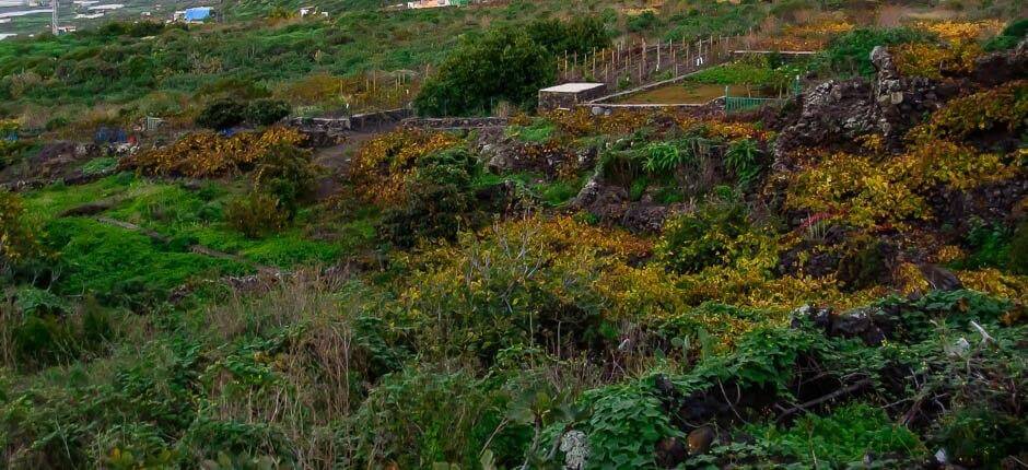 Los Llanillos caseríos de El Hierro